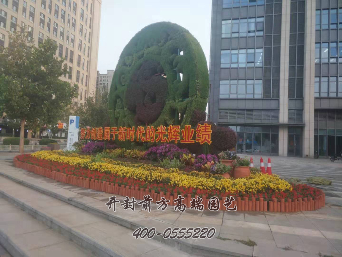 北京大興區(qū)菊花造型修飾